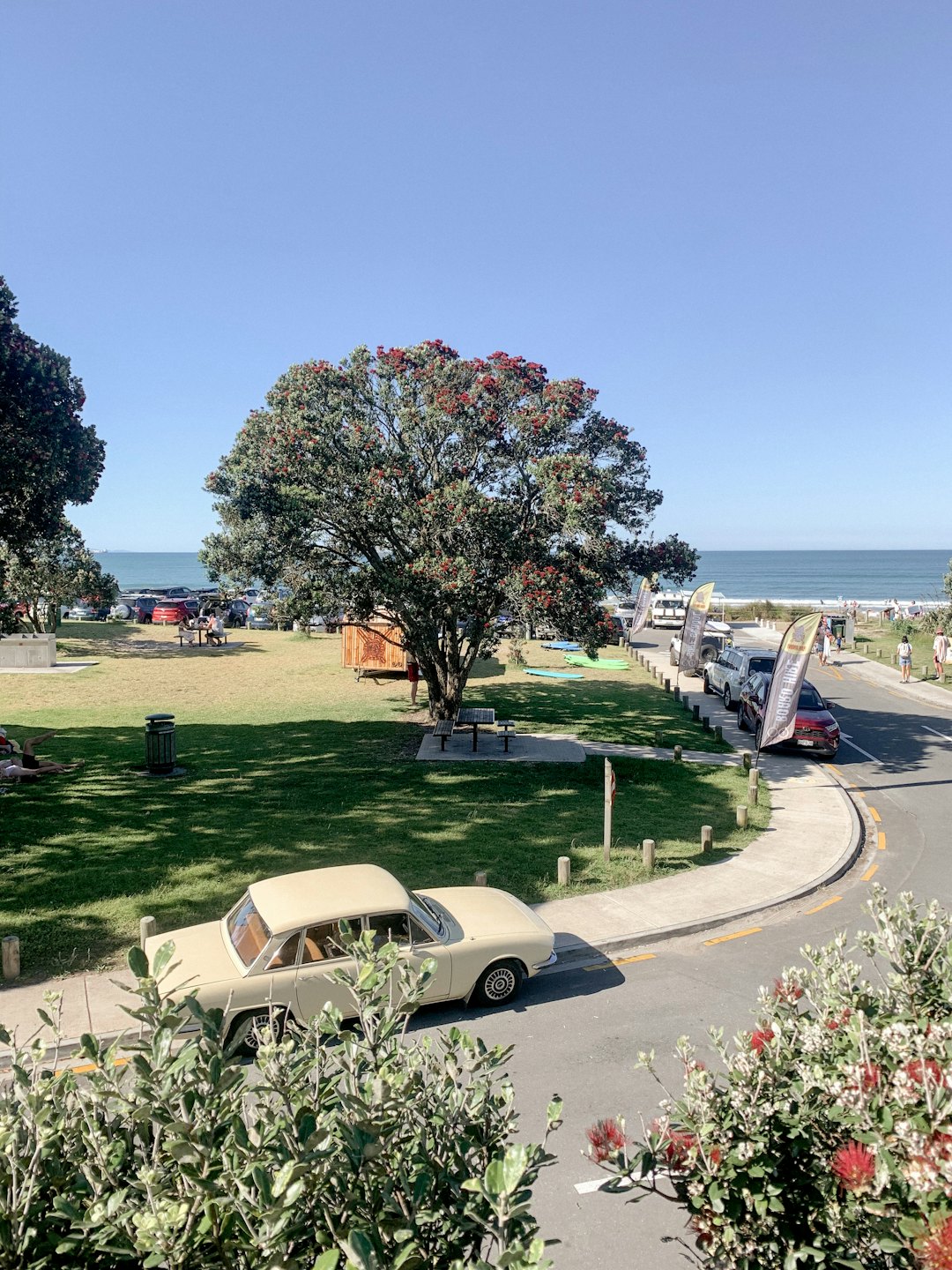 A vintage car overlooks a coastal park and ocean beach.